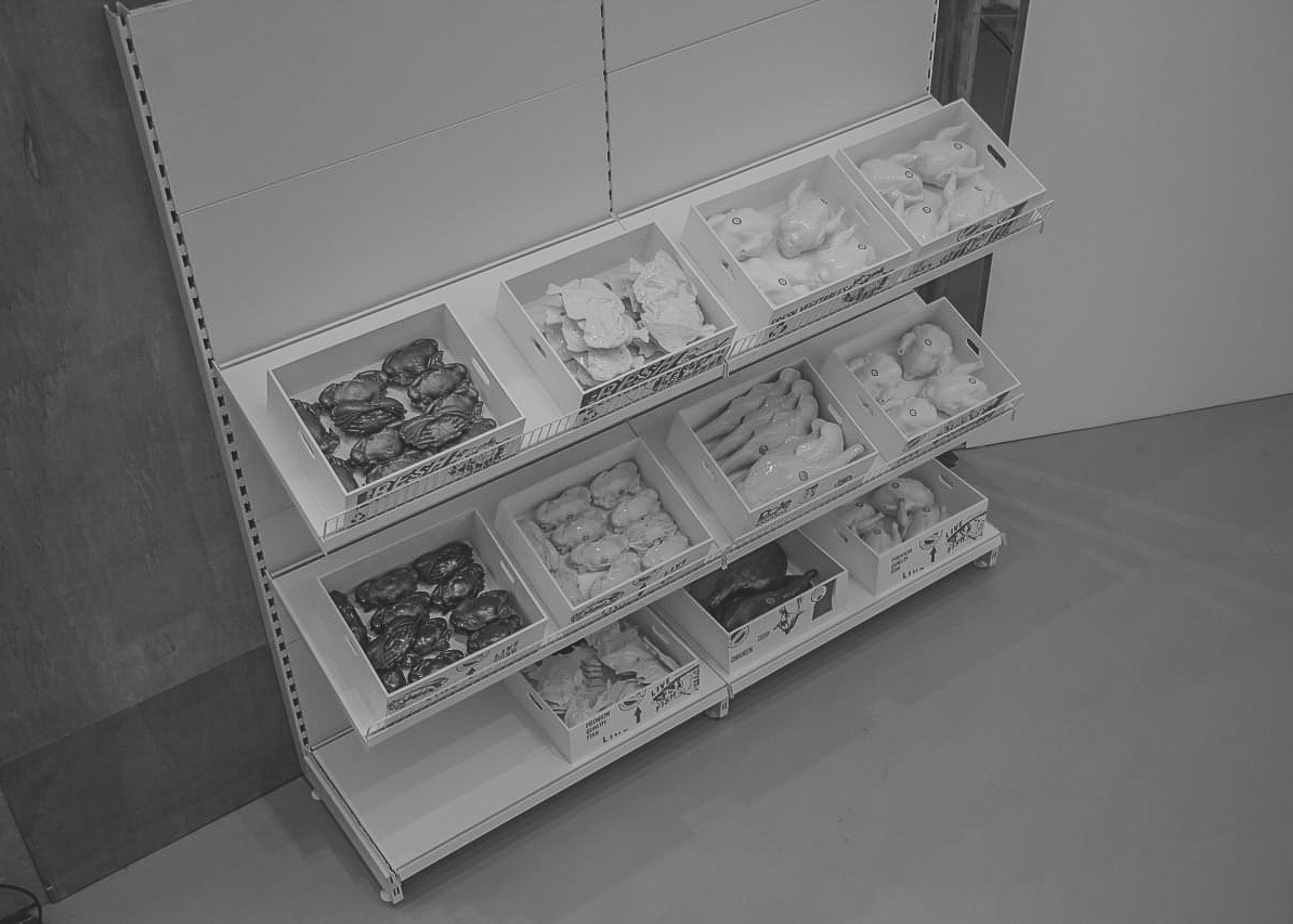 Documenta -25_Body Image_Documenta 15.jpg-17